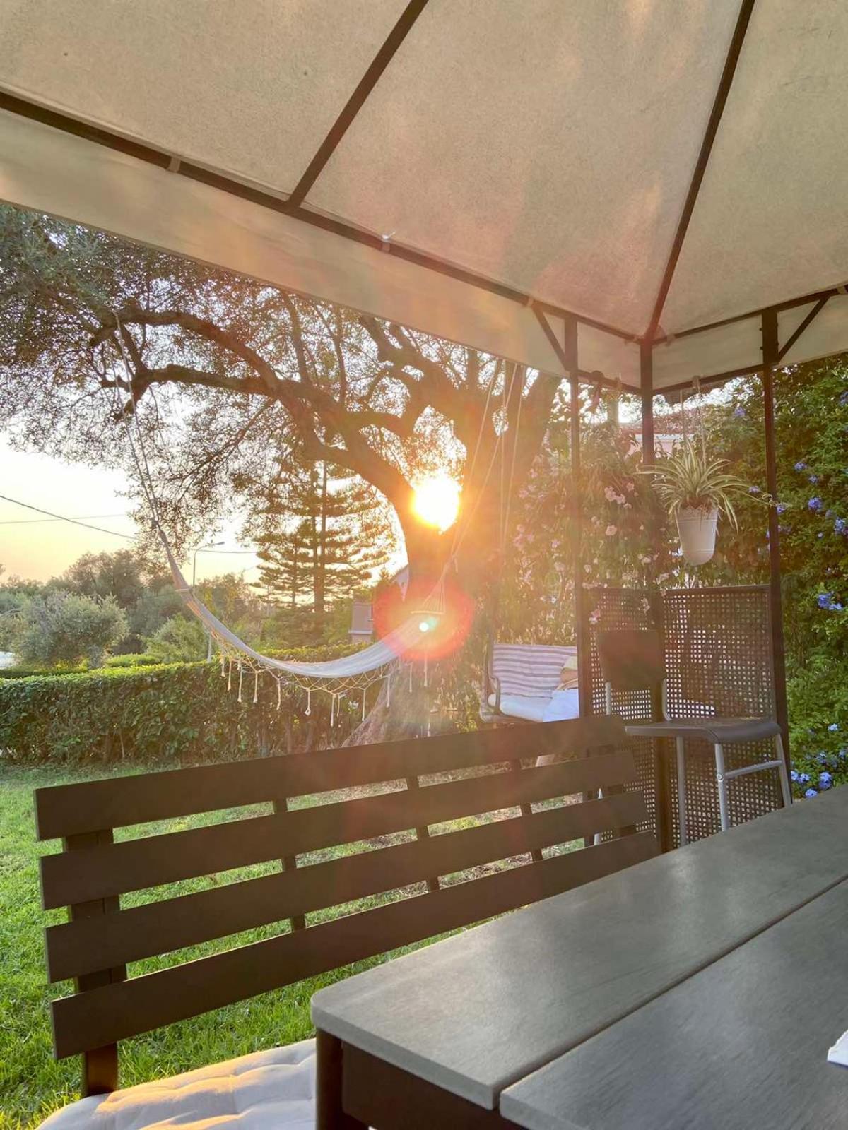 Sunny Garden Apartment Платария Стая снимка