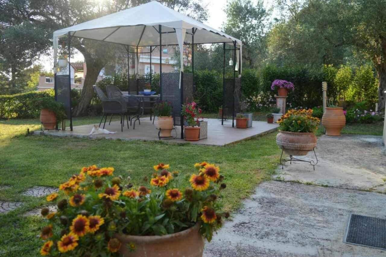Sunny Garden Apartment Платария Екстериор снимка
