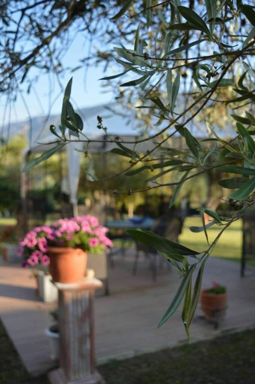 Sunny Garden Apartment Платария Екстериор снимка